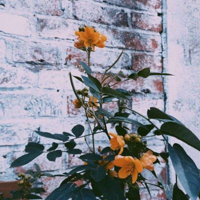 半岛·综合体育下载手机版截图